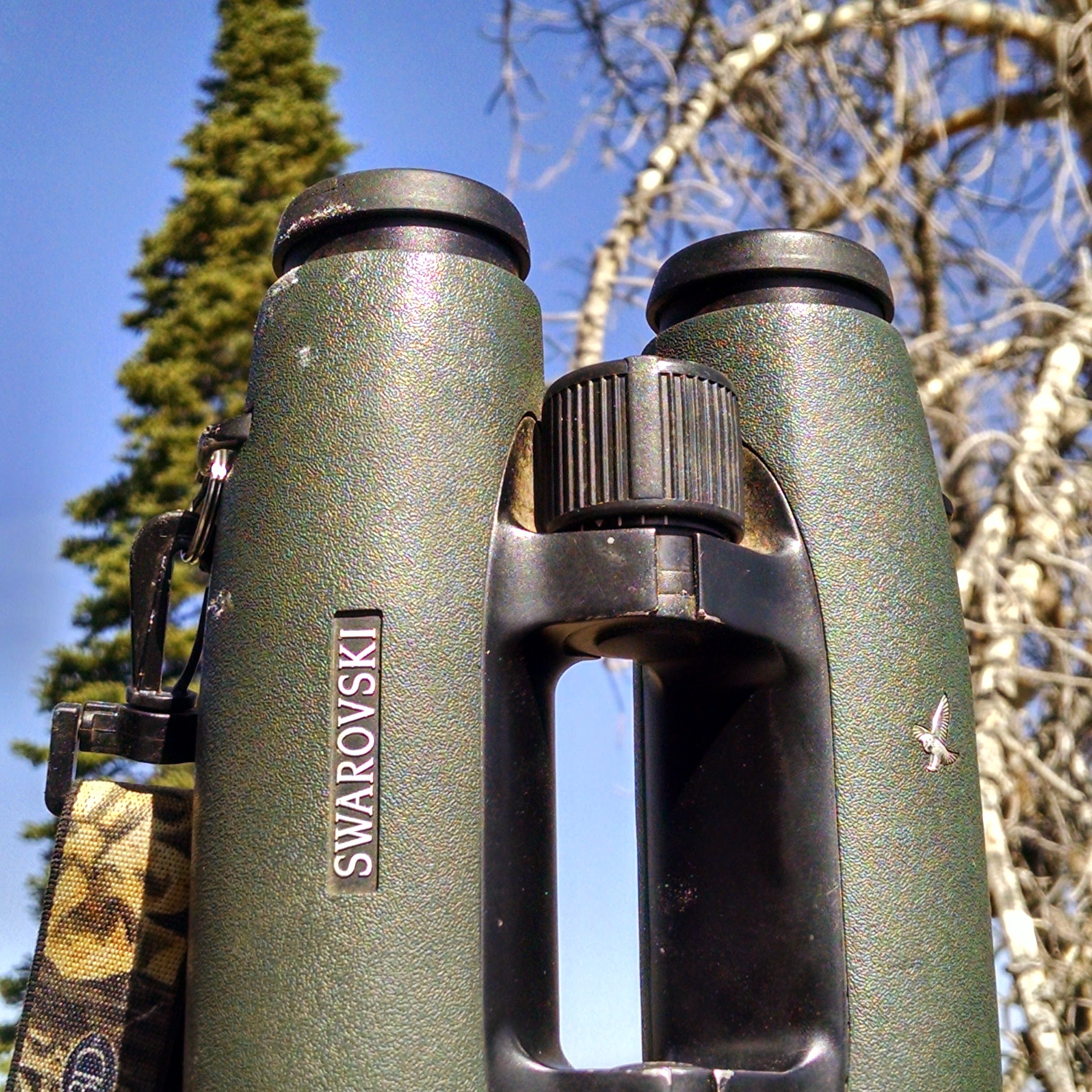 The Best Hunting Binoculars Specialty Adventure Services
