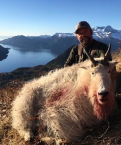 Alaska Coastal Mountain Goat Hunt