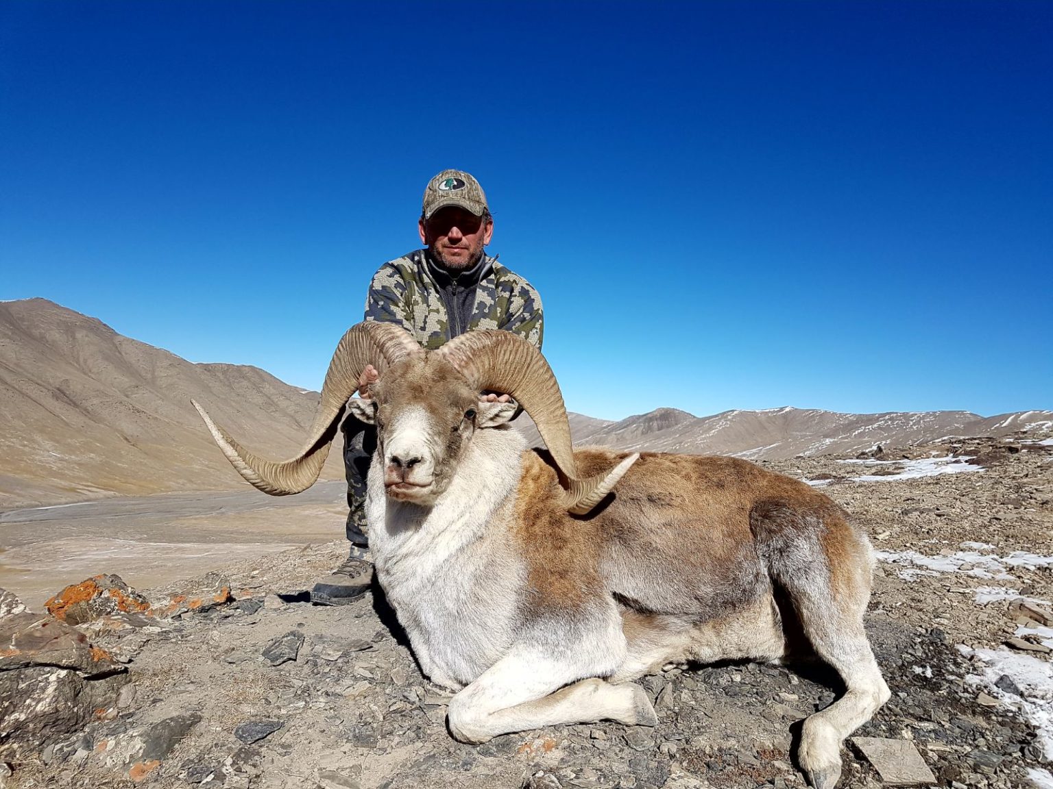 Marco Polo Hunt Kyrgyzstan Specialty Adventure Services