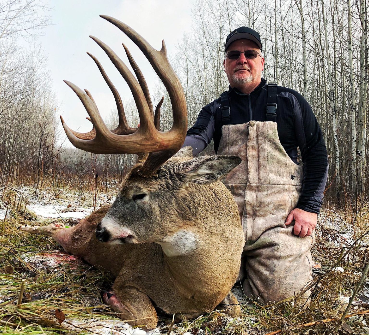 Whitetail colorado hunts guided