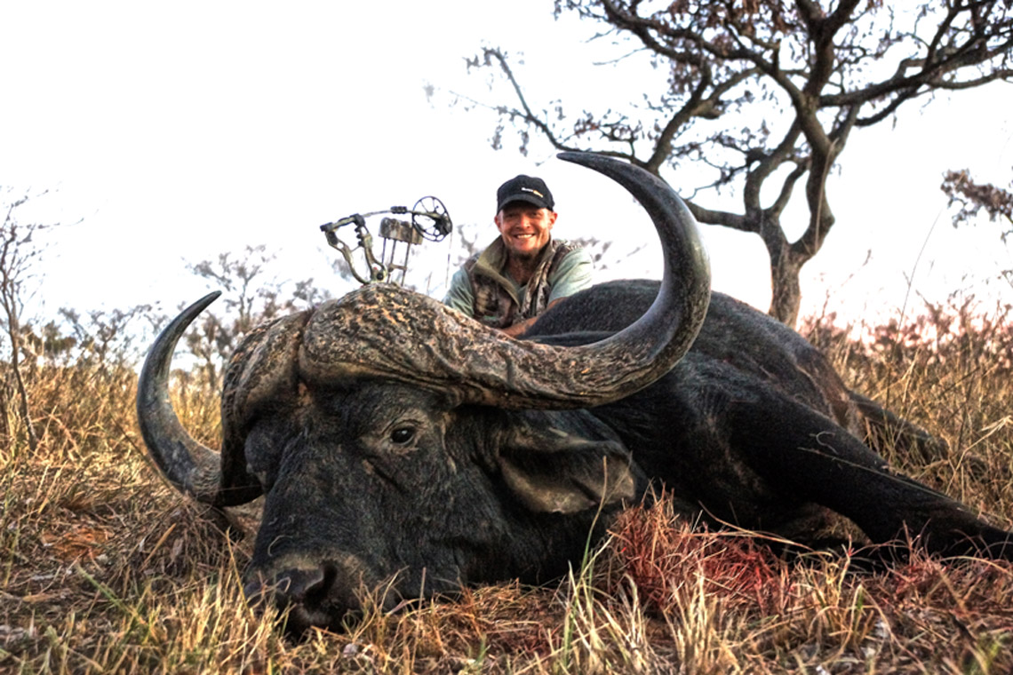 42 inch Cape Buffalo taken with archery equipment