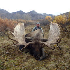 North America Moose Hunts